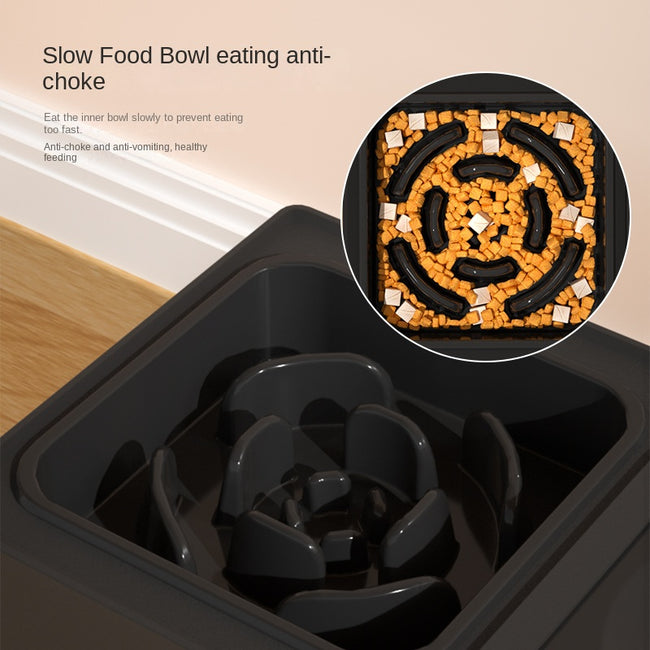 Elevated Food Water Feeders Bowl