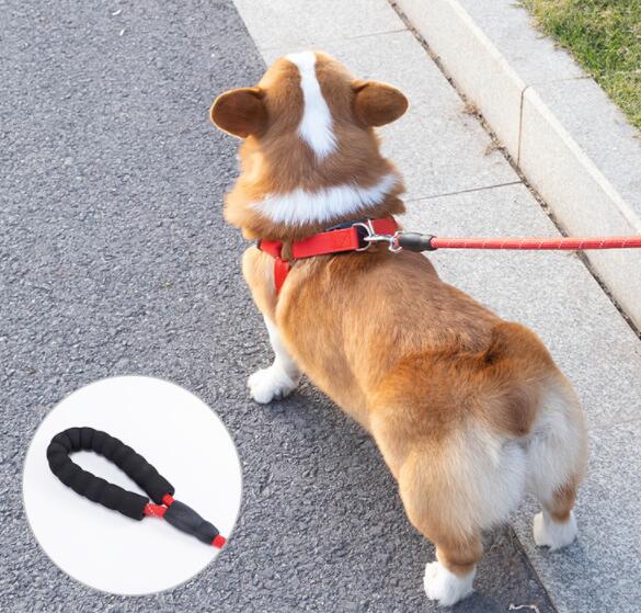 Reflective Pet Leash Collar Set