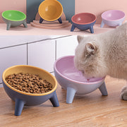 Stand Pet Feeding Food Bowl