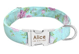 Glow At Night Pet Supplies Collar