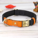 Anti Lettering Lost Pet Collar