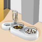 Automatic Water Pet Rice Bowl