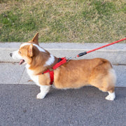 Reflective Pet Leash Collar Set