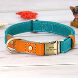 Anti Lettering Lost Pet Collar