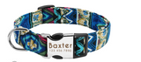 Glow At Night Pet Supplies Collar