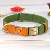 Anti Lettering Lost Pet Collar