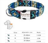 Glow At Night Pet Supplies Collar